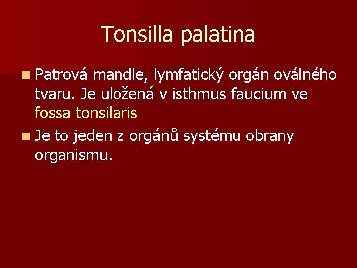 Tonsilla palatina n Patrová mandle, lymfatický orgán oválného tvaru. Je uložená v isthmus faucium