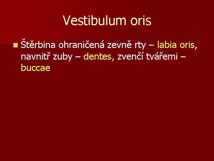 Vestibulum oris n Štěrbina ohraničená zevně rty – labia oris, navnitř zuby – dentes,