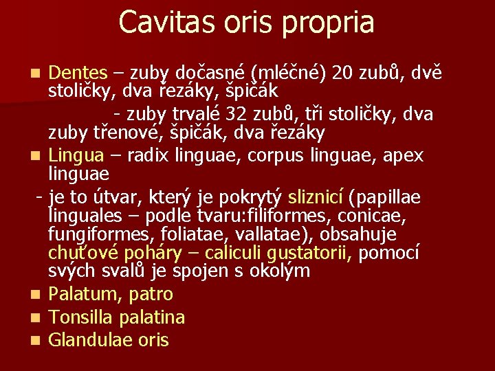 Cavitas oris propria Dentes – zuby dočasné (mléčné) 20 zubů, dvě stoličky, dva řezáky,