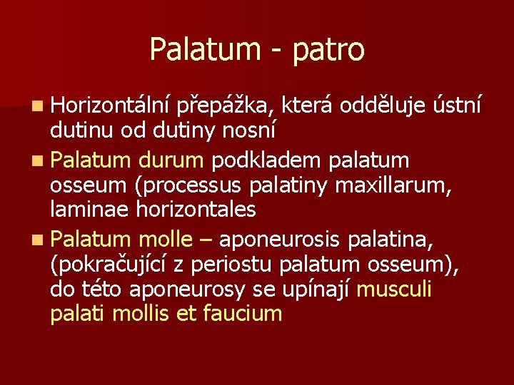Palatum - patro n Horizontální přepážka, která odděluje ústní dutinu od dutiny nosní n
