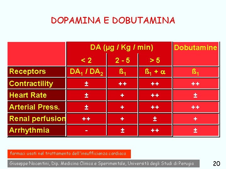 DOPAMINA E DOBUTAMINA DA (µg / Kg / min) Dobutamine <2 DA 1 /