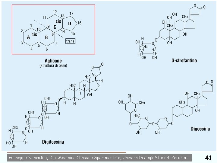 farmaci usati nel trattamento dell'insufficienza cardiaca Giuseppe Nocentini, Dip. Medicina Clinica e Sperimentale, Università