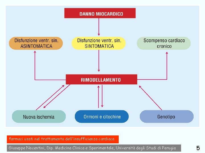 farmaci usati nel trattamento dell'insufficienza cardiaca Giuseppe Nocentini, Dip. Medicina Clinica e Sperimentale, Università