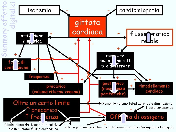 Summary effetto digitalici - ischemia attivazione simpatica - gittata cardiaca + + - +