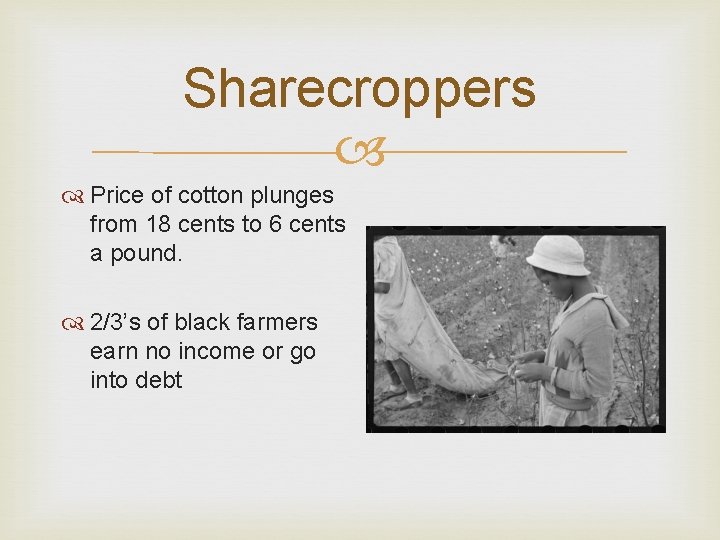 Sharecroppers Price of cotton plunges from 18 cents to 6 cents a pound. 2/3’s