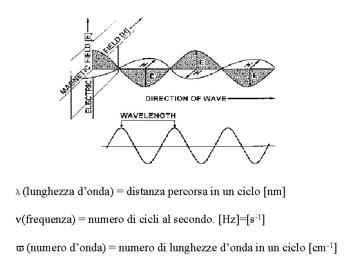 l (lunghezza d’onda) = distanza percorsa in un ciclo [nm] (frequenza) = numero di