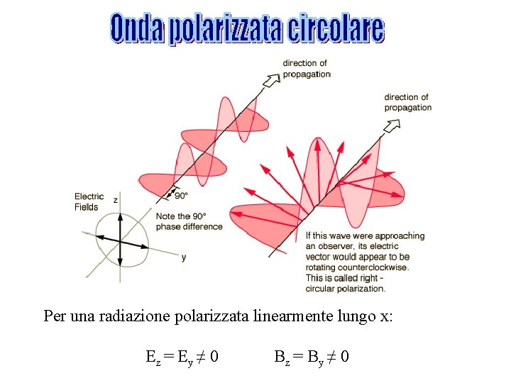 Per una radiazione polarizzata linearmente lungo x: Ez = E y ≠ 0 Bz