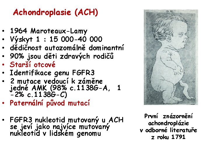 Achondroplasie (ACH) 1964 Maroteaux-Lamy Výskyt 1 : 15 000 -40 000 dědičnost autozomálně dominantní