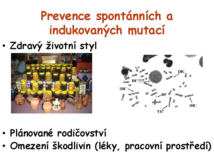 Prevence spontánních a indukovaných mutací • Zdravý životní styl • Plánované rodičovství • Omezení