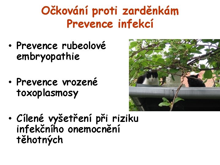 Očkování proti zarděnkám Prevence infekcí • Prevence rubeolové embryopathie • Prevence vrozené toxoplasmosy •