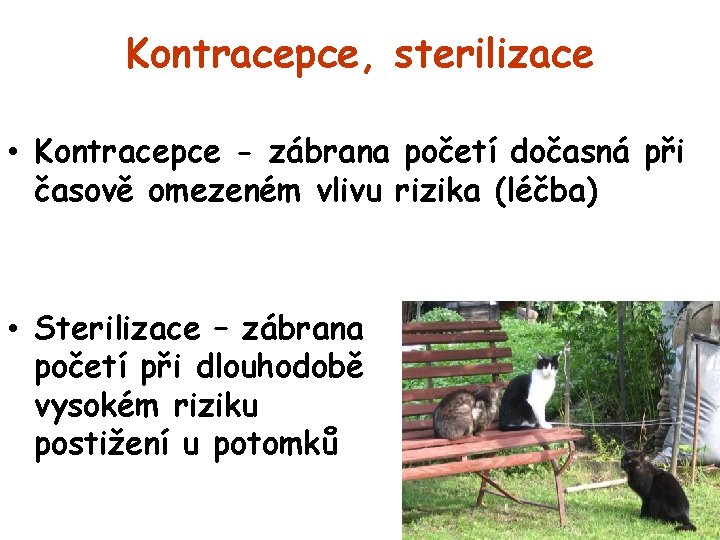 Kontracepce, sterilizace • Kontracepce - zábrana početí dočasná při časově omezeném vlivu rizika (léčba)