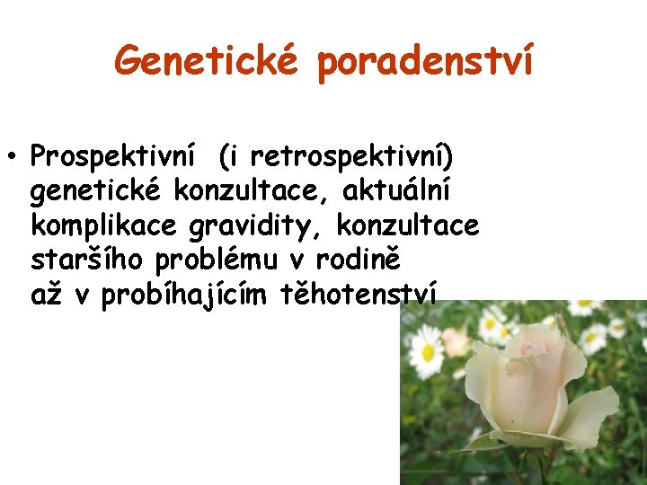 Genetické poradenství • Prospektivní (i retrospektivní) genetické konzultace, aktuální komplikace gravidity, konzultace staršího problému