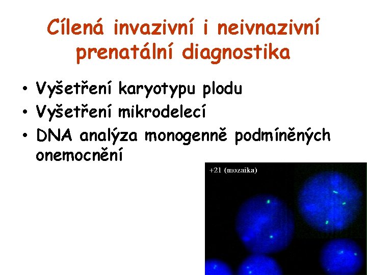 Cílená invazivní i neivnazivní prenatální diagnostika • Vyšetření karyotypu plodu • Vyšetření mikrodelecí •