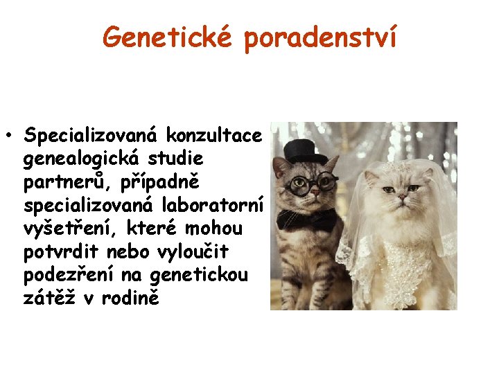 Genetické poradenství • Specializovaná konzultace a genealogická studie partnerů, případně specializovaná laboratorní vyšetření, které