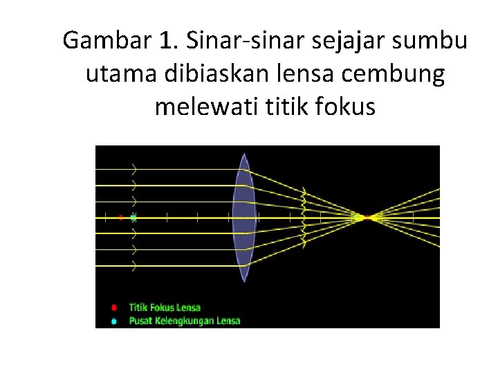 Gambar 1. Sinar-sinar sejajar sumbu utama dibiaskan lensa cembung melewati titik fokus 