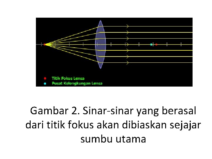 Gambar 2. Sinar-sinar yang berasal dari titik fokus akan dibiaskan sejajar sumbu utama 