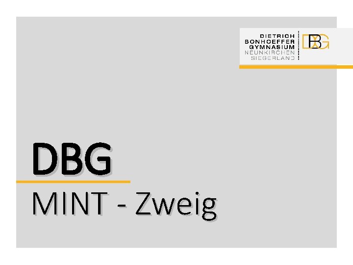 DBG MINT - Zweig 