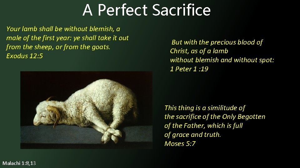 A Perfect Sacrifice Your lamb shall be without blemish, a male of the first