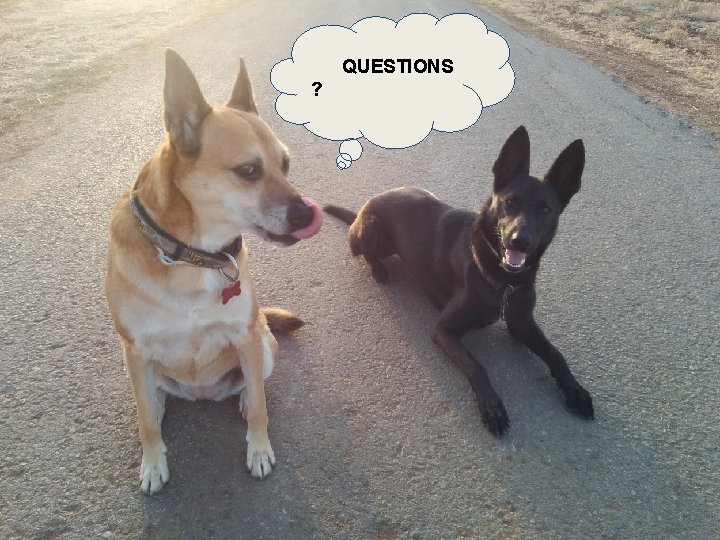 QUESTIONS ? QUESTIONS ?