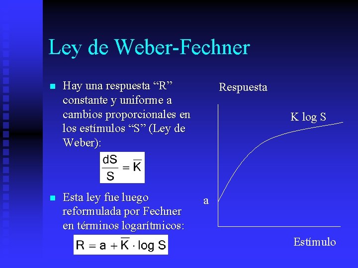 Ley de Weber-Fechner n n Hay una respuesta “R” constante y uniforme a cambios