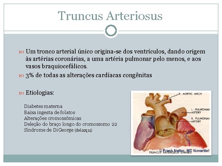 Truncus Arteriosus Um tronco arterial único origina-se dos ventrículos, dando origem às artérias coronárias,