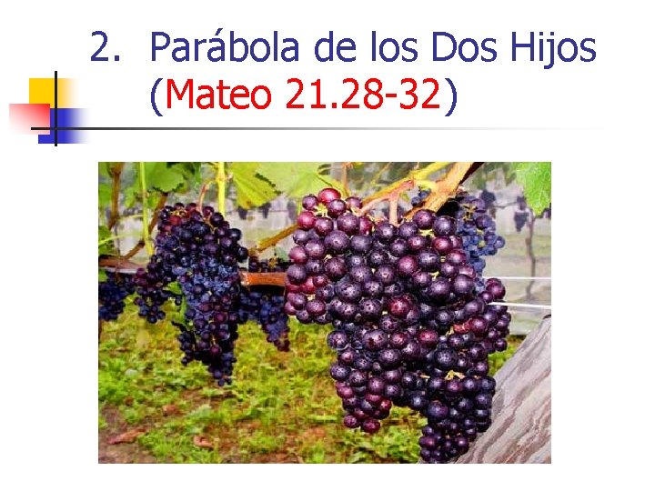 2. Parábola de los Dos Hijos (Mateo 21. 28 -32) 