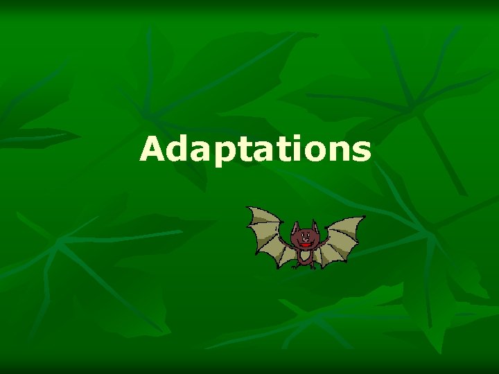 Adaptations 