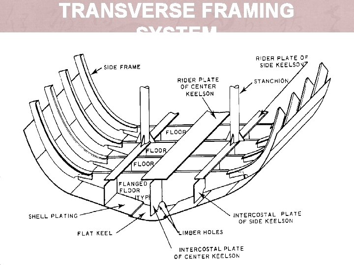 TRANSVERSE FRAMING SYSTEM 