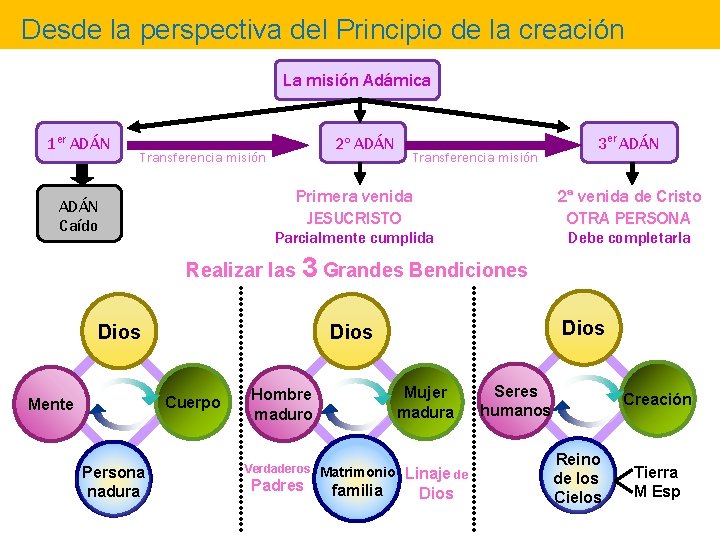 Desde la perspectiva del Principio de la creación La misión Adámica 1 er ADÁN