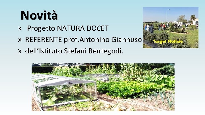 Novità » Progetto NATURA DOCET » REFERENTE prof. Antonino Giannuso » dell’Istituto Stefani Bentegodi.