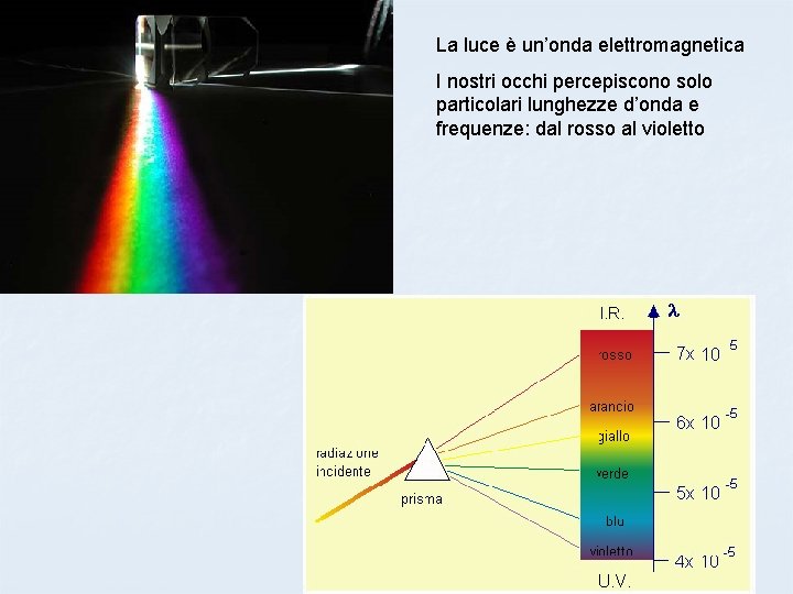 La luce è un’onda elettromagnetica I nostri occhi percepiscono solo particolari lunghezze d’onda e