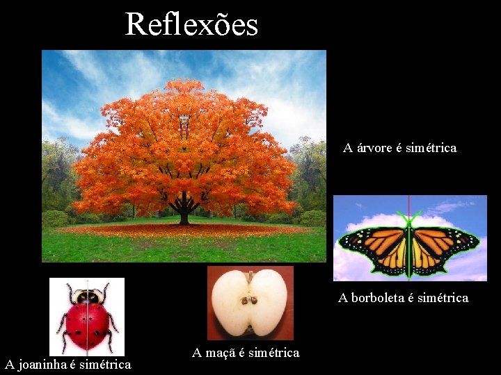 Reflexões A árvore é simétrica A borboleta é simétrica A joaninha é simétrica A