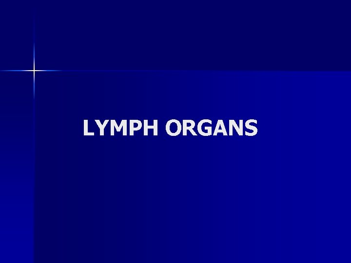 LYMPH ORGANS 