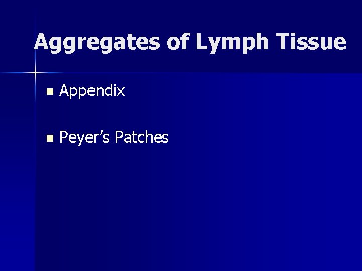 Aggregates of Lymph Tissue n Appendix n Peyer’s Patches 