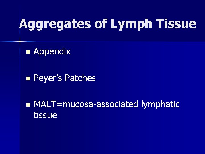 Aggregates of Lymph Tissue n Appendix n Peyer’s Patches n MALT=mucosa-associated lymphatic tissue 