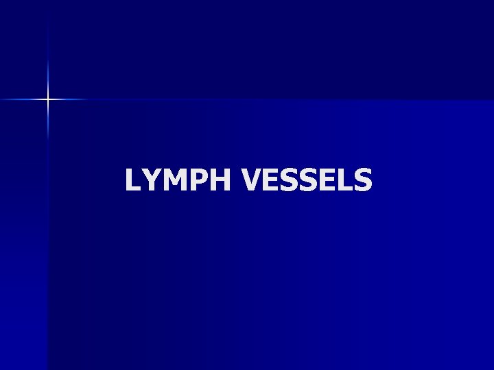 LYMPH VESSELS 