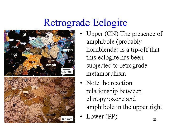 Retrograde Eclogite • Upper (CN) The presence of amphibole (probably hornblende) is a tip-off