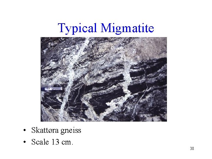 Typical Migmatite • Skattøra gneiss • Scale 13 cm. 38 