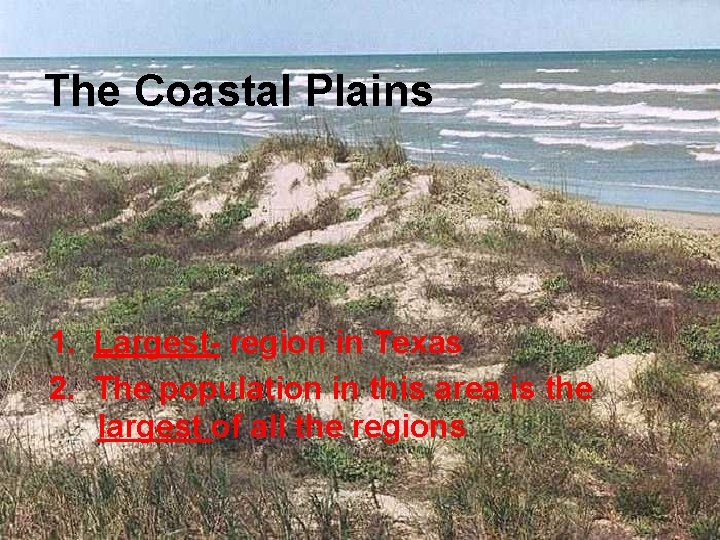 The Coastal Plains 1. Largest- region in Texas 2. The population in this area