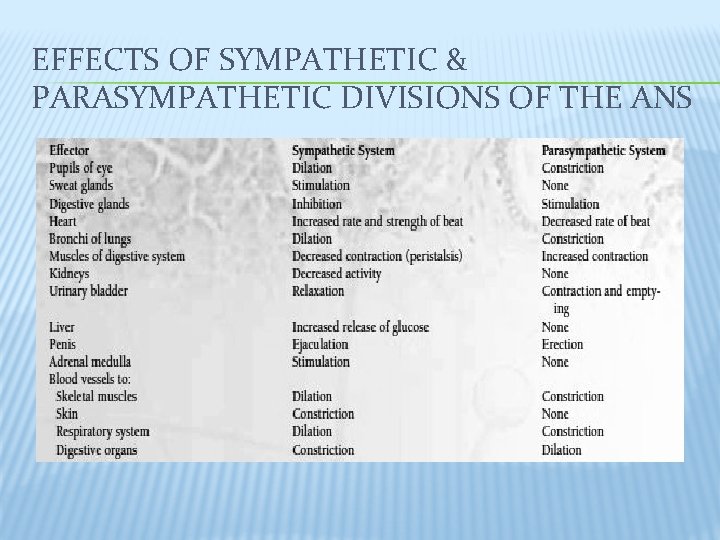 EFFECTS OF SYMPATHETIC & PARASYMPATHETIC DIVISIONS OF THE ANS EFFECTS OF SYMPATHETIC & PARASYMPATHETIC DIVISIONS OF THE ANS