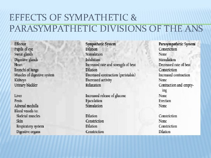 EFFECTS OF SYMPATHETIC & PARASYMPATHETIC DIVISIONS OF THE ANS 