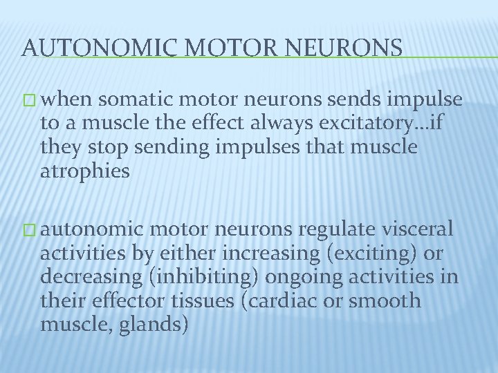 AUTONOMIC MOTOR NEURONS � when somatic motor neurons sends impulse to a muscle the