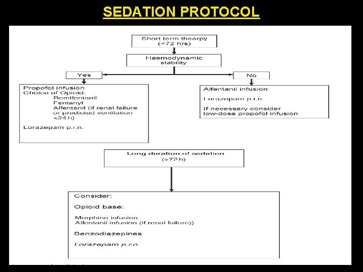 SEDATION PROTOCOL 