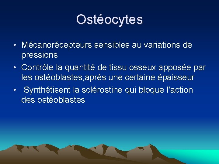 Ostéocytes • Mécanorécepteurs sensibles au variations de pressions • Contrôle la quantité de tissu