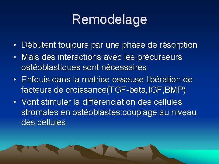 Remodelage • Débutent toujours par une phase de résorption • Mais des interactions avec