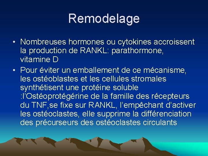 Remodelage • Nombreuses hormones ou cytokines accroissent la production de RANKL: parathormone, vitamine D