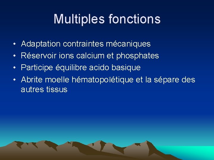 Multiples fonctions • • Adaptation contraintes mécaniques Réservoir ions calcium et phosphates Participe équilibre