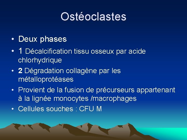 Ostéoclastes • Deux phases • 1 Décalcification tissu osseux par acide chlorhydrique • 2