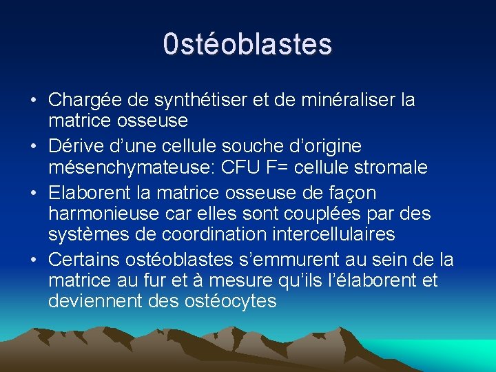 0 stéoblastes • Chargée de synthétiser et de minéraliser la matrice osseuse • Dérive