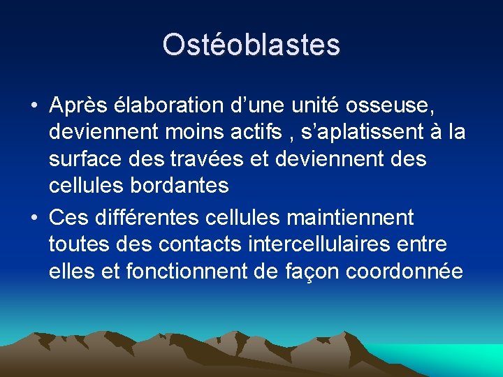 Ostéoblastes • Après élaboration d’une unité osseuse, deviennent moins actifs , s’aplatissent à la